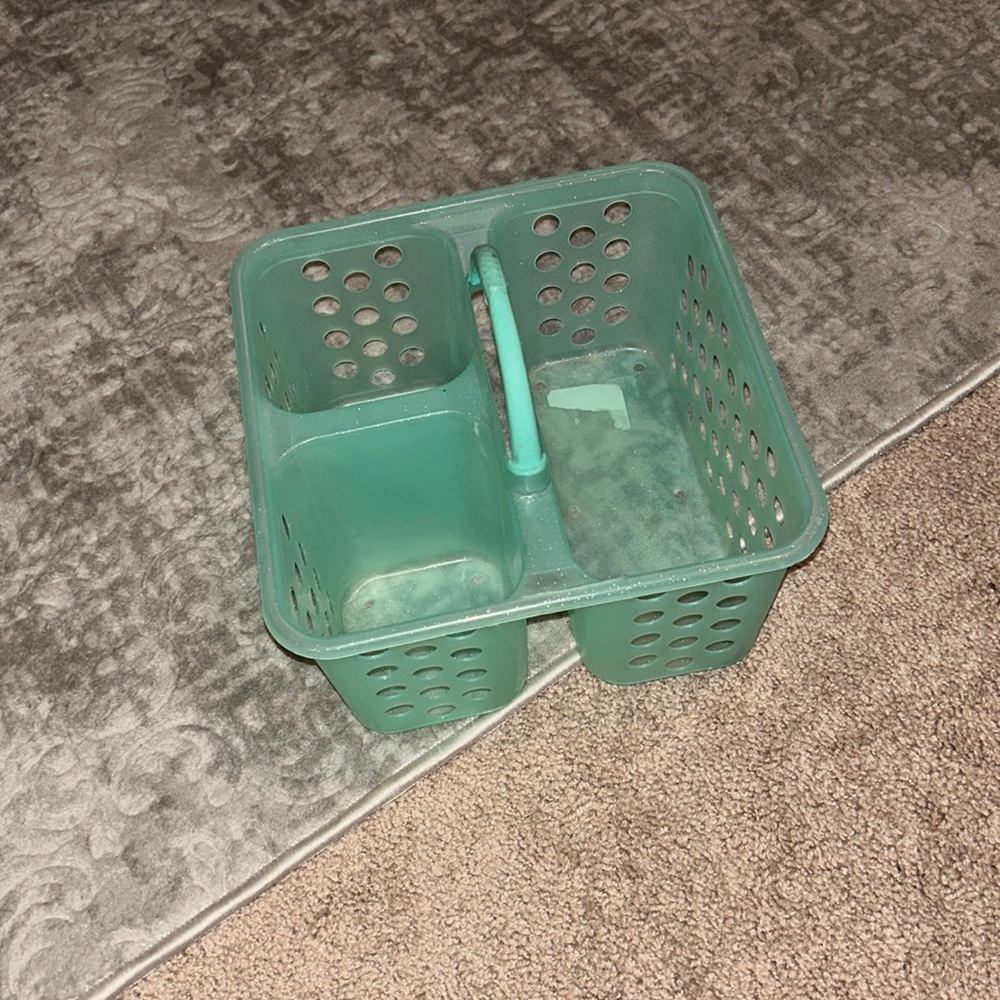 Bathroom carrier